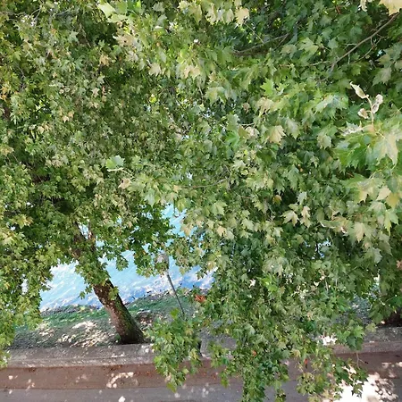 Apartment Trebisnjica Riverside *